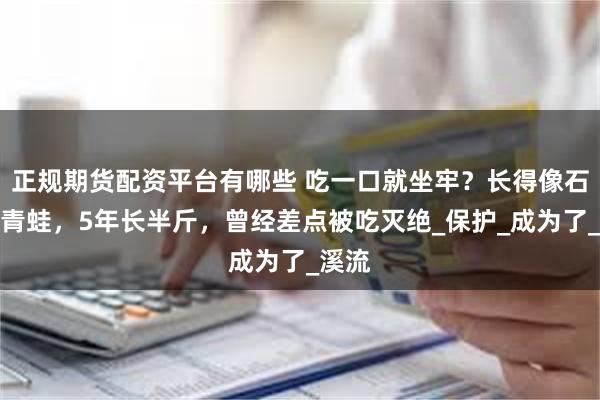 正规期货配资平台有哪些 吃一口就坐牢？长得像石头的青蛙，5年长半斤，曾经差点被吃灭绝_保护_成为了_溪流