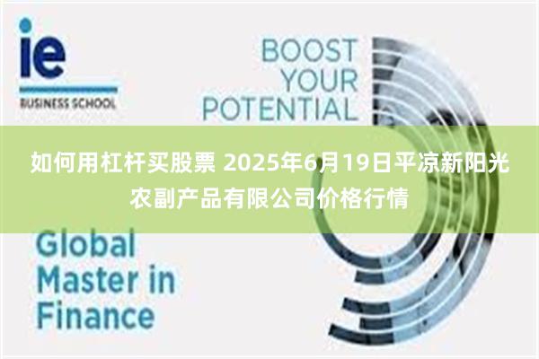 如何用杠杆买股票 2025年6月19日平凉新阳光农副产品有限公司价格行情