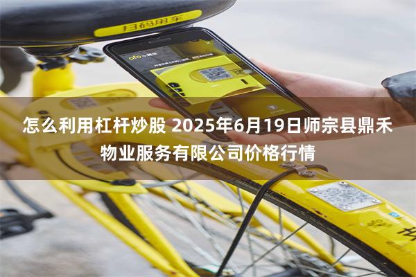 怎么利用杠杆炒股 2025年6月19日师宗县鼎禾物业服务有限公司价格行情