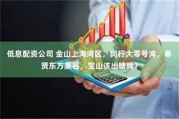 低息配资公司 金山上海湾区，闵行大零号湾，奉贤东方美谷，宝山该出啥牌？
