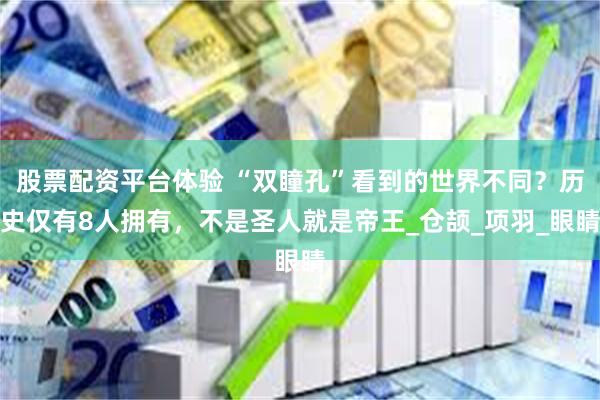 股票配资平台体验 “双瞳孔”看到的世界不同？历史仅有8人拥有，不是圣人就是帝王_仓颉_项羽_眼睛