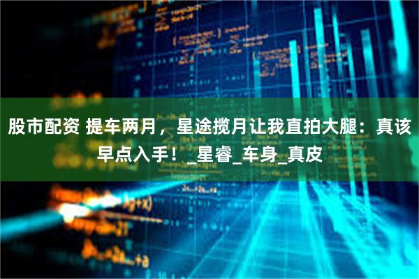 股市配资 提车两月，星途揽月让我直拍大腿：真该早点入手！_星睿_车身_真皮