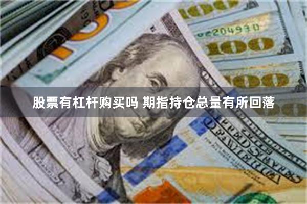股票有杠杆购买吗 期指持仓总量有所回落