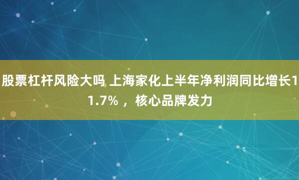 股票杠杆风险大吗 上海家化上半年净利润同比增长11.7% ，核心品牌发力