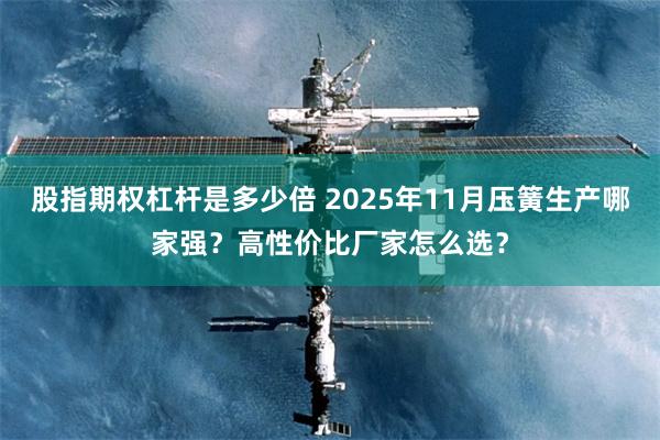 股指期权杠杆是多少倍 2025年11月压簧生产哪家强?高性价比厂家怎么选?